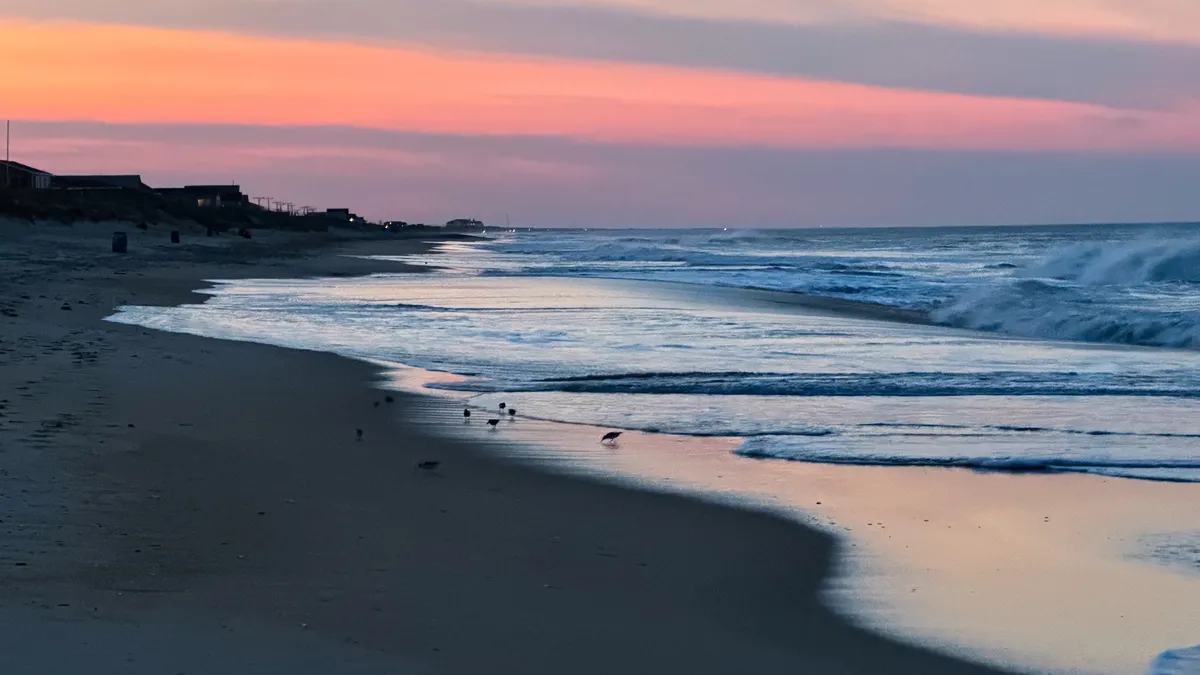Beach scene at sunset at the Outer Banks. The beach is dark and empty, which only a few sandpipers still hunting in the surf. The sky has some wisps of clouds, but where it is clear it is pastel shades of orange, pink, and purple.