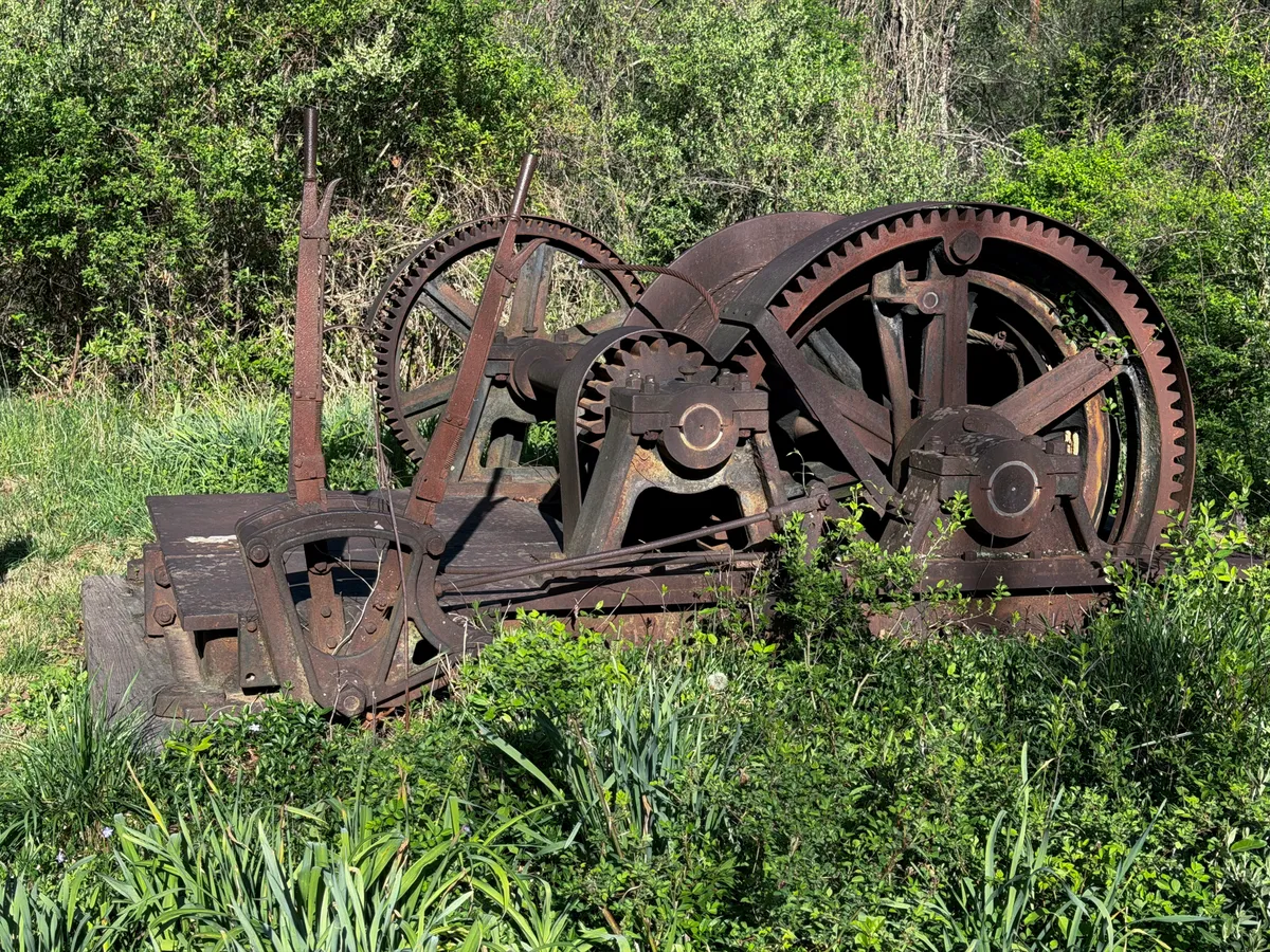 A rusted, disused coal-cart winch sits among a tall stand of weeds and grass in a clearing in the woods.